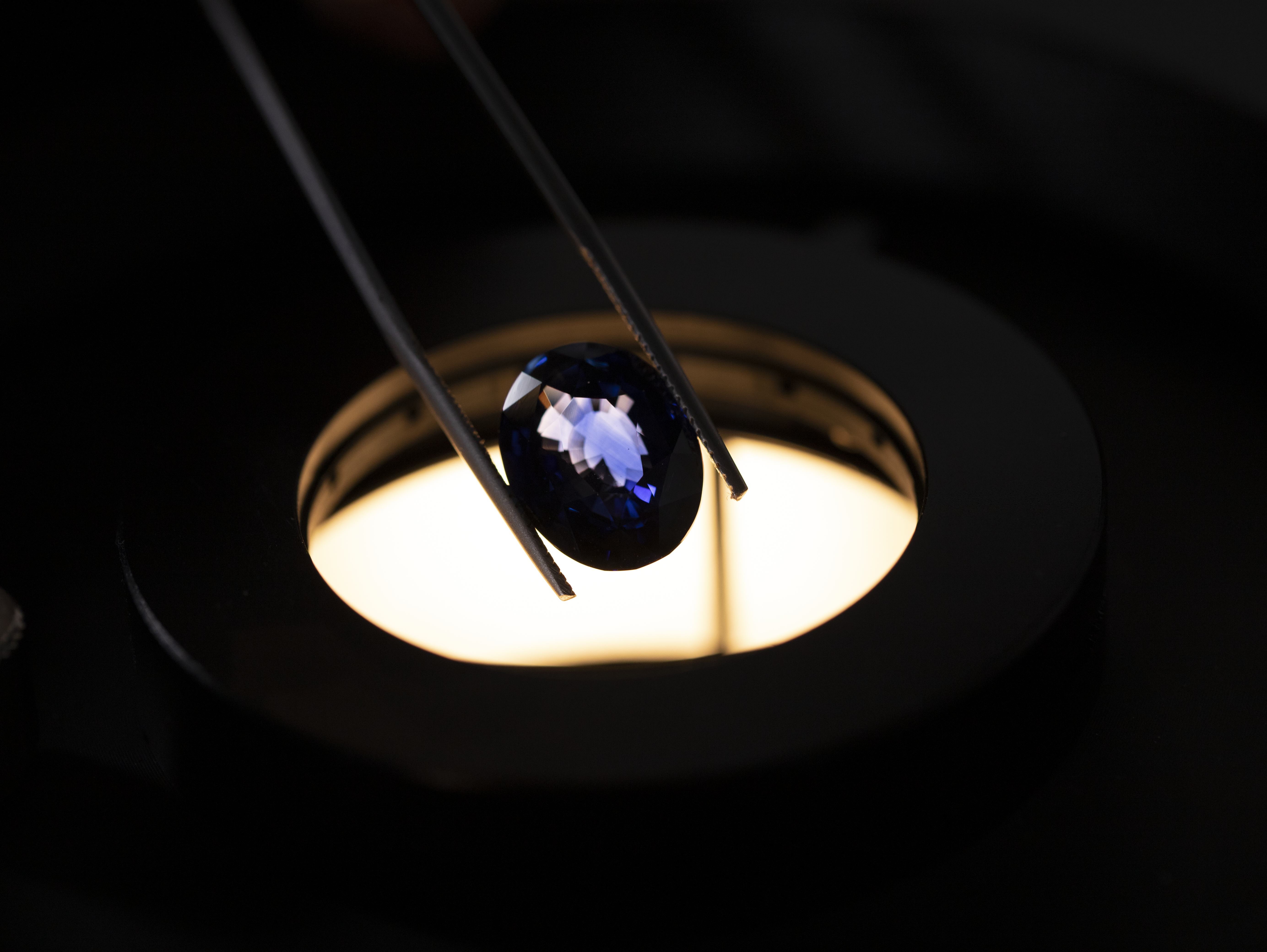 Laboratory Background